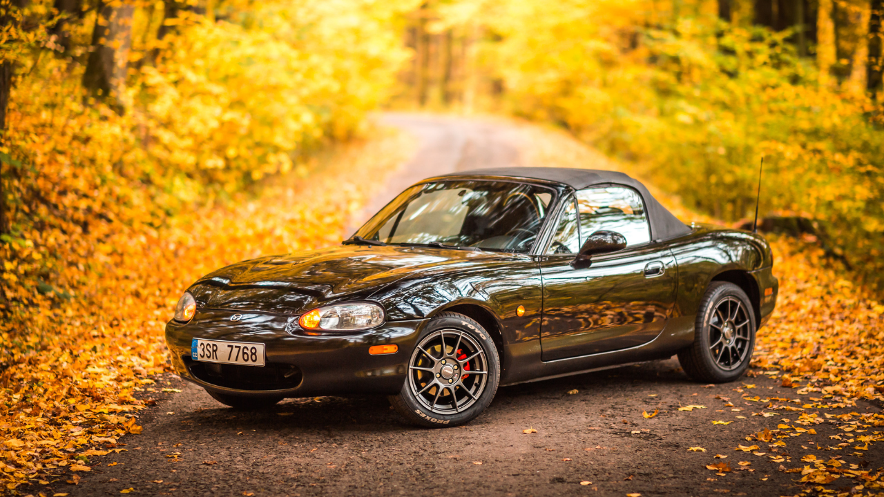 9 Important Automobile Checks Earlier than Hitting the Highway This Fall