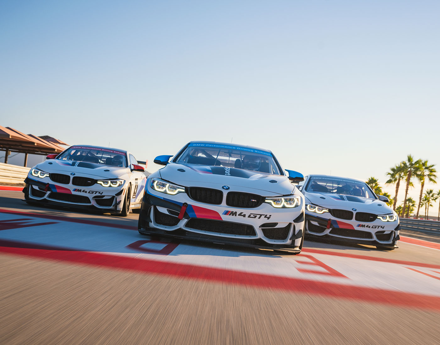 BMW Trivia That’ll Impress Any Automotive Fanatic BMW Trivia That’ll Impress Any Automotive Fanatic