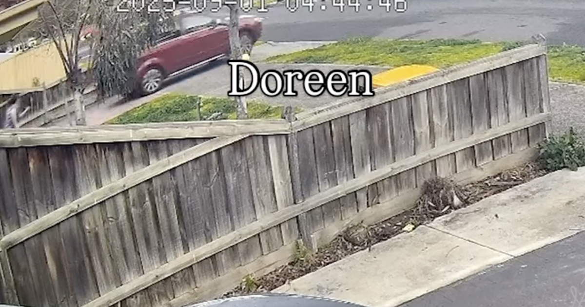 Watch the terrifying second thieves in Victoria stole a automobile with toddlers within the again