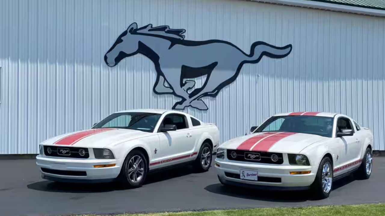 10 Fascinating Info About America’s Iconic Pony Automotive
