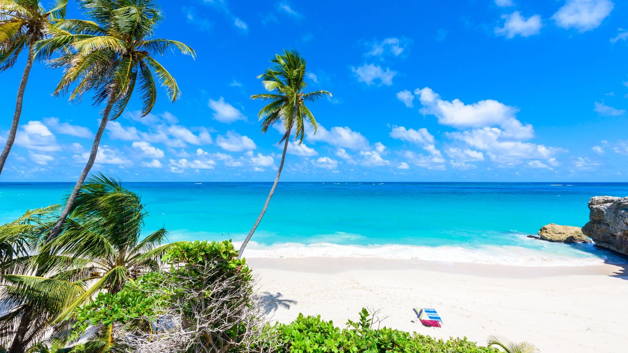 16 Greatest Seashores to Go to When It’s Freezing at Dwelling 16 Greatest Seashores to Go to When It’s Freezing at Dwelling
