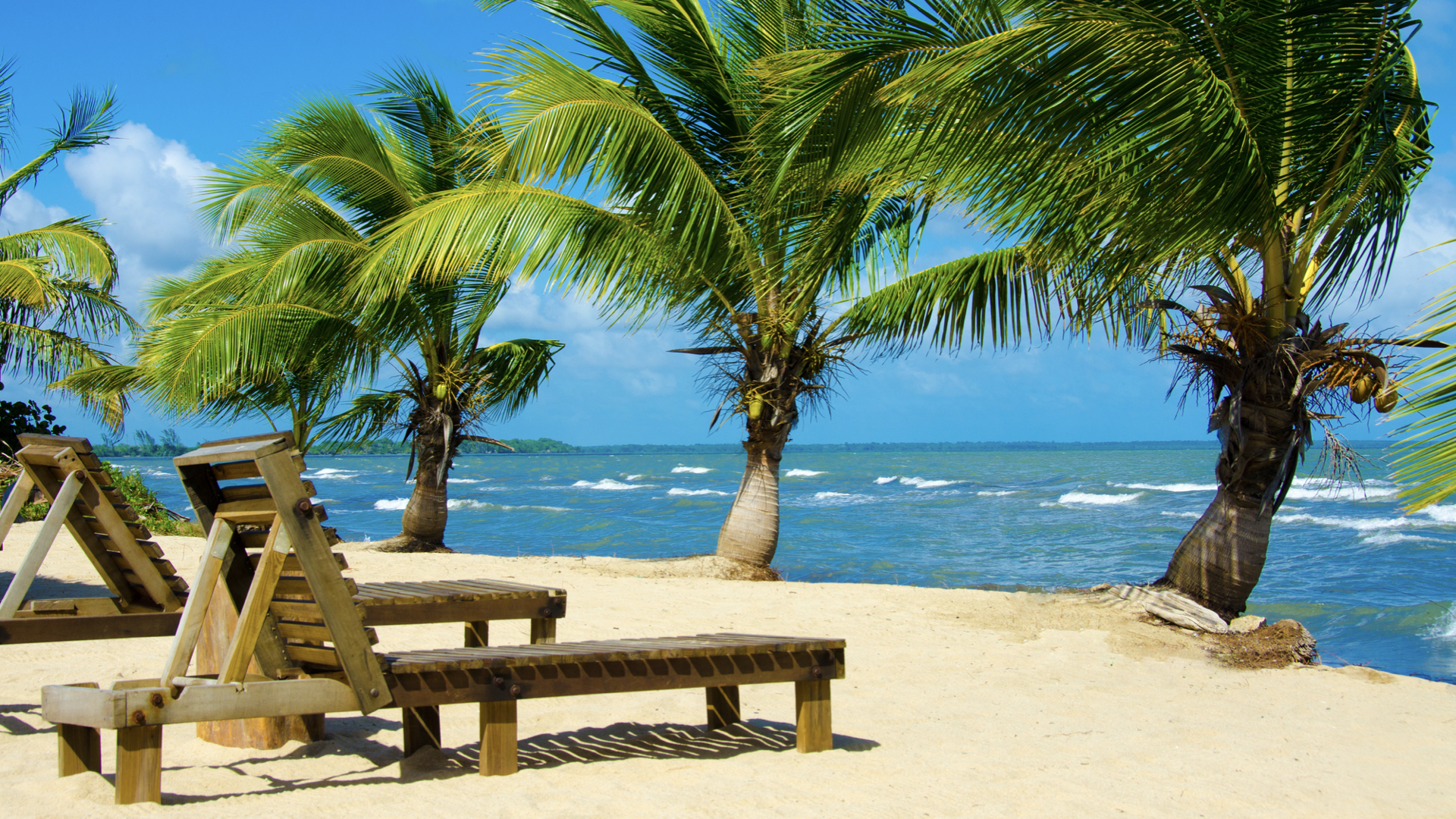 Belize Barrier Reef: An Inexpensive Various to Different Caribbean Dive Websites
