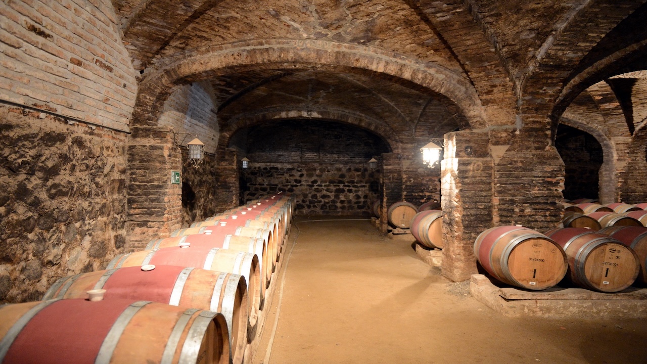 Chile’s Central Valley Wine Excursions Beat France at Half the Worth