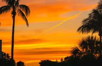 11 Superb Issues to Do in Siesta Key Whereas On Trip