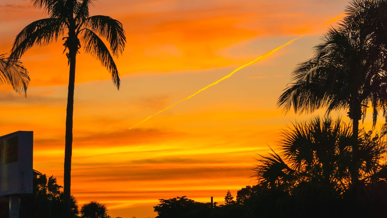 11 Superb Issues to Do in Siesta Key Whereas On Trip
