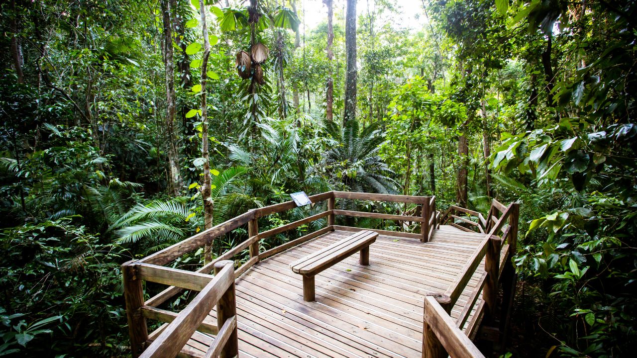 12 Unmissable Actions From Coast to Coast