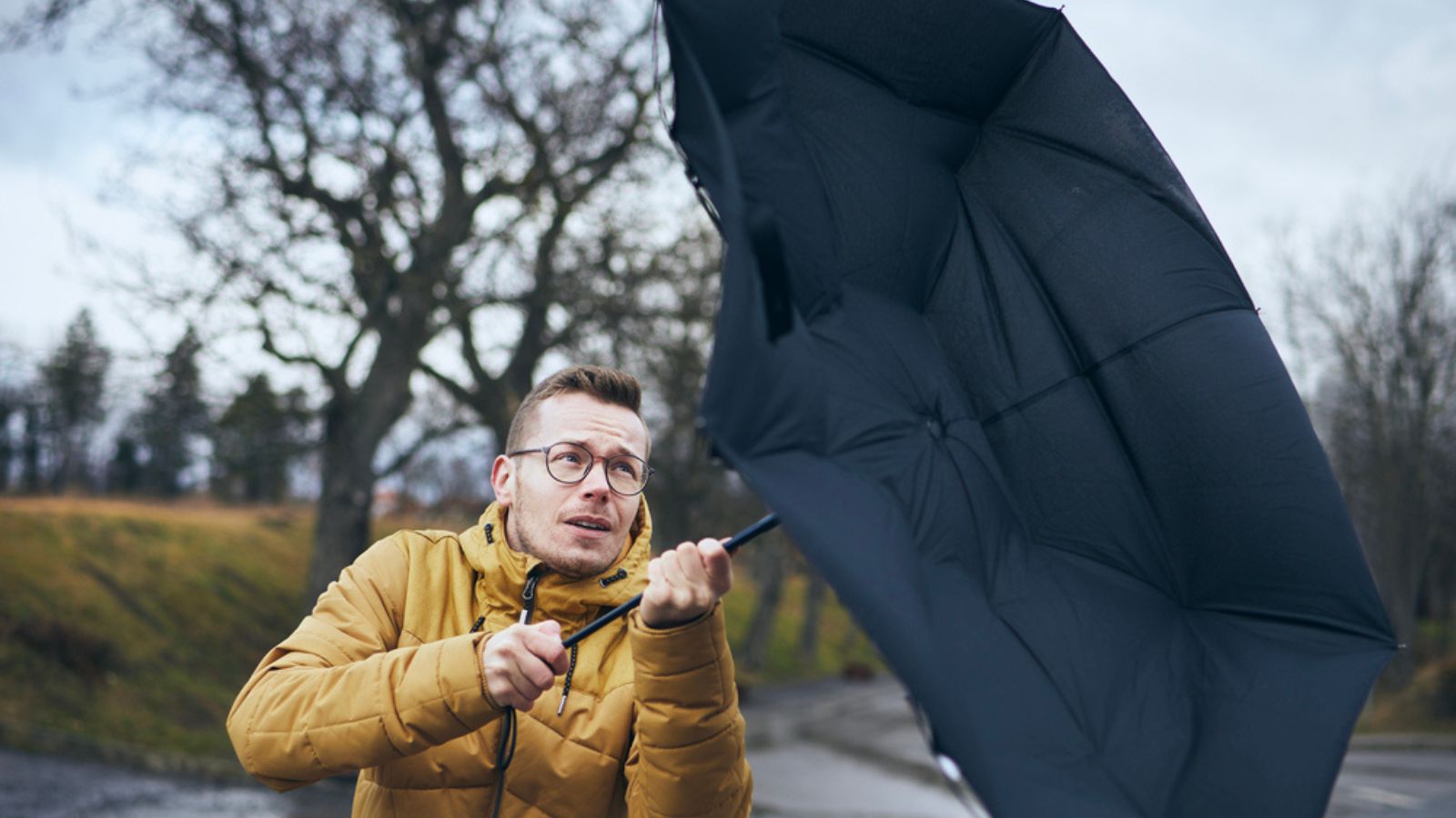 14 Information About Highly effective Microbursts