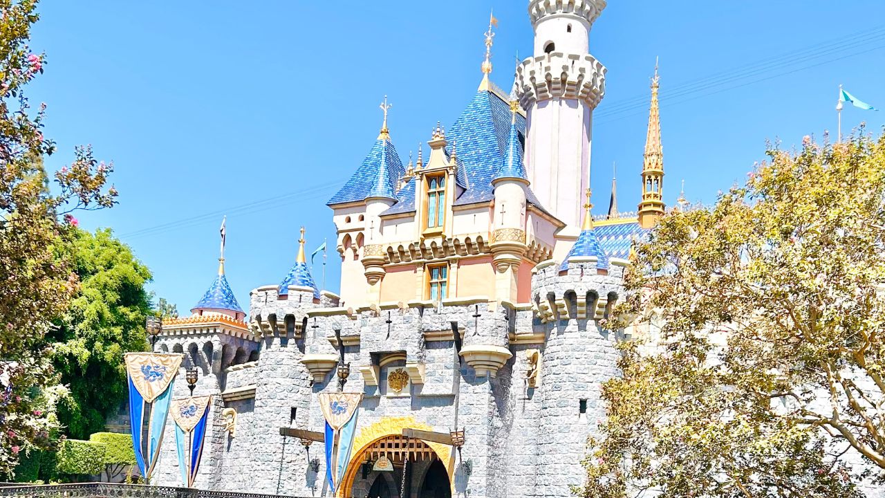 How To Discover Disney Journey Offers How To Discover Disney Journey Offers