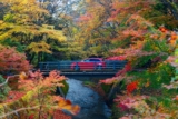 Automobile Images Suggestions for Capturing Autumn Vibes