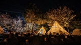 Get Prepared for a Spook-Tacular Fall Highway Journey: The Finest Halloween Tenting Occasions Throughout America