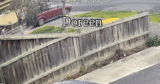 Watch the terrifying second thieves in Victoria stole a automobile with toddlers within the again